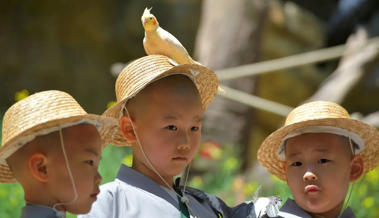 Seekor burung hinggap di kepala biksu cilik ketika mereka mengunjungi taman hiburan Everland di Yongin, Korea Selatan, Kamis (2/5). (Jung Yeon-je/AFP)