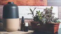 Upgrade Suasana Rumah dengan Diffuser Oil Terbaik yang Wanginya Bikin Betah