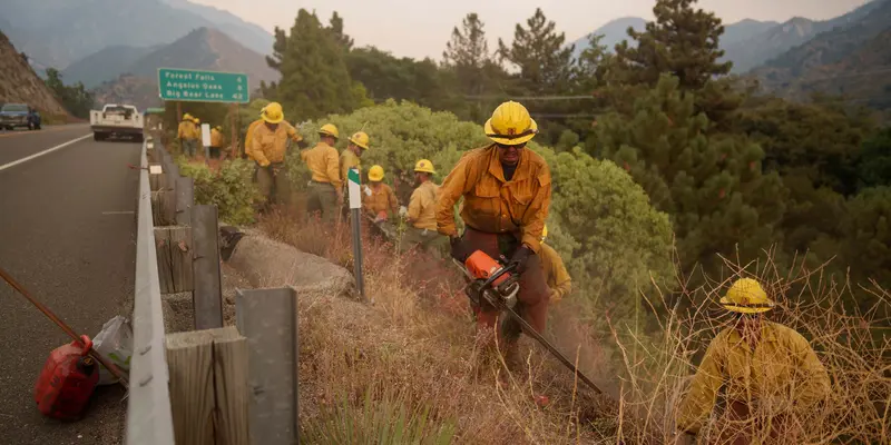 Terkendala Medan yang Curam, Kebakaran Hutan di California Belum Terkendali