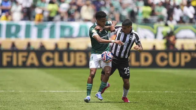 Palmeiras, Botafogo, Allan, Estevao