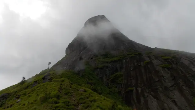 Pendakian ke Bukit Jempol di Sumatra Selatan. (Dok: Gunung Bagging https://www.gunungbagging.com/bukit-jempol/nggallery/page/2)