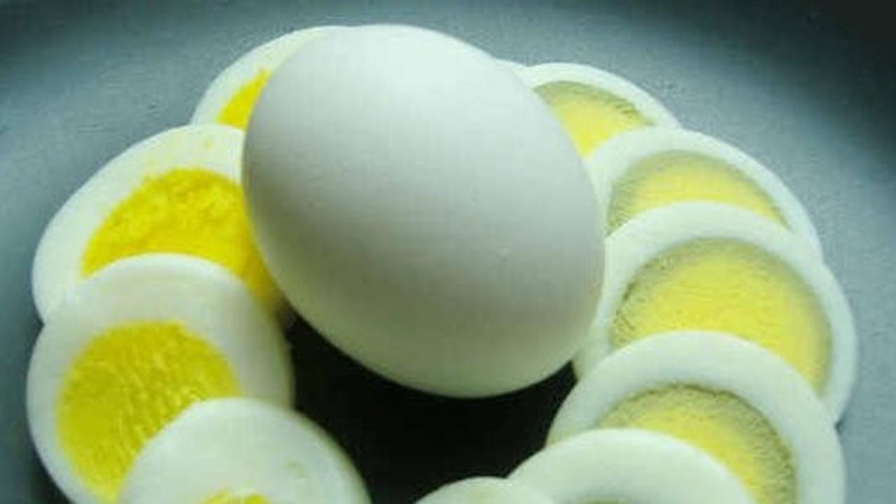 Makan telur