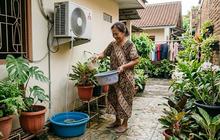 Bolehkah Menyiram Tanaman dengan Air AC? Ini Manfaat dan Cara Menggunakannya