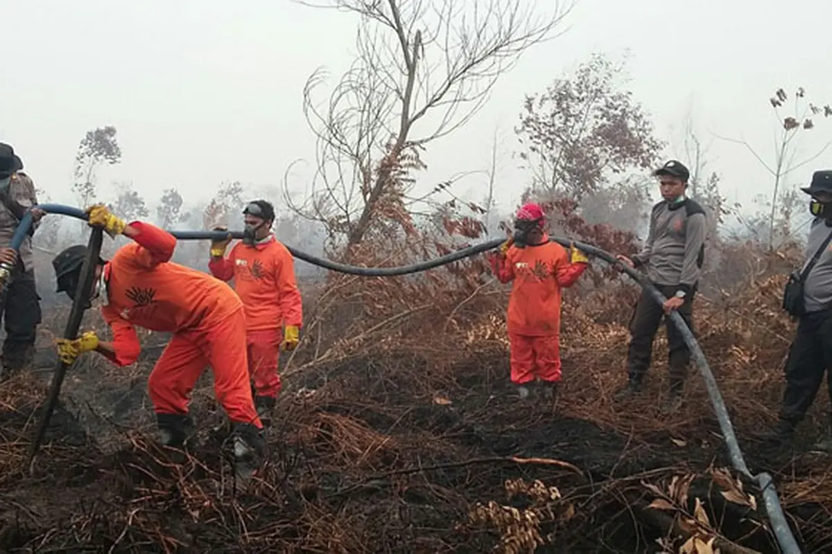 Relawan RZ Bantu Padamkan Sisa Bara Api Hutan Rimbo