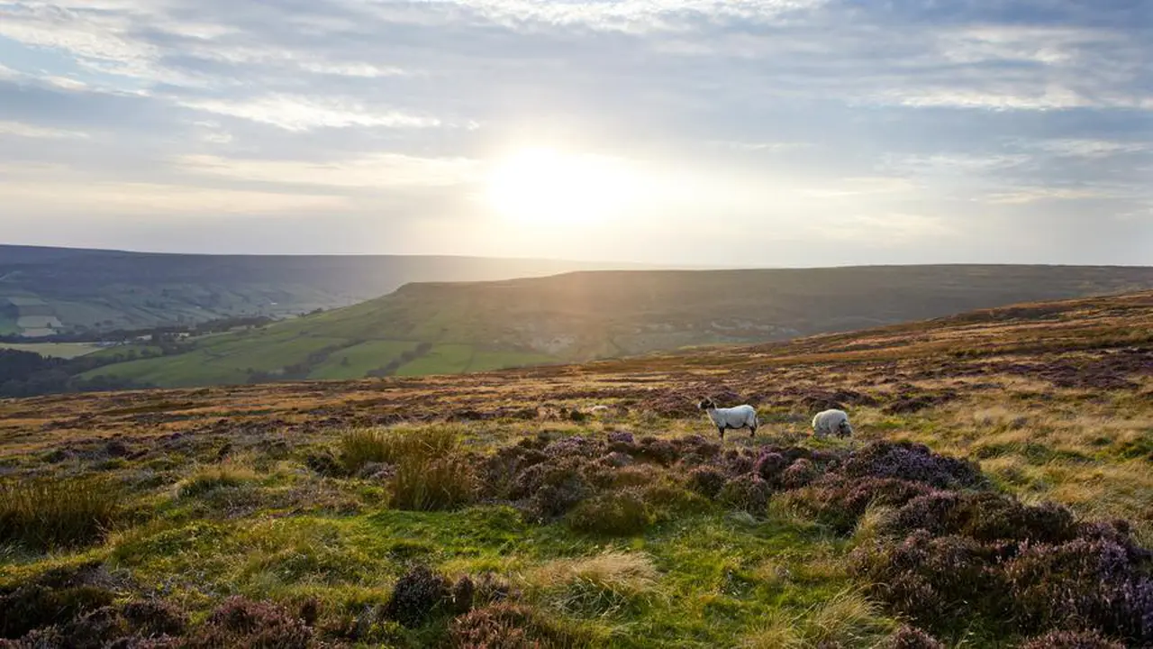 Ketika Keindahan Latar Novel Fiksi Jadi Nyata di Yorkshire