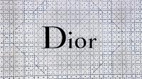 Ilustrasi logo Christian Dior. (dok. Steven Su/Unsplash.com)