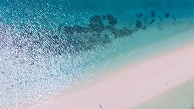 [Bintang] Maluku