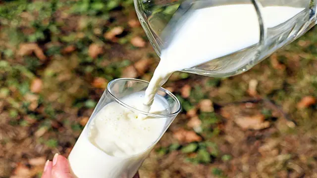 Ilustrasi susu