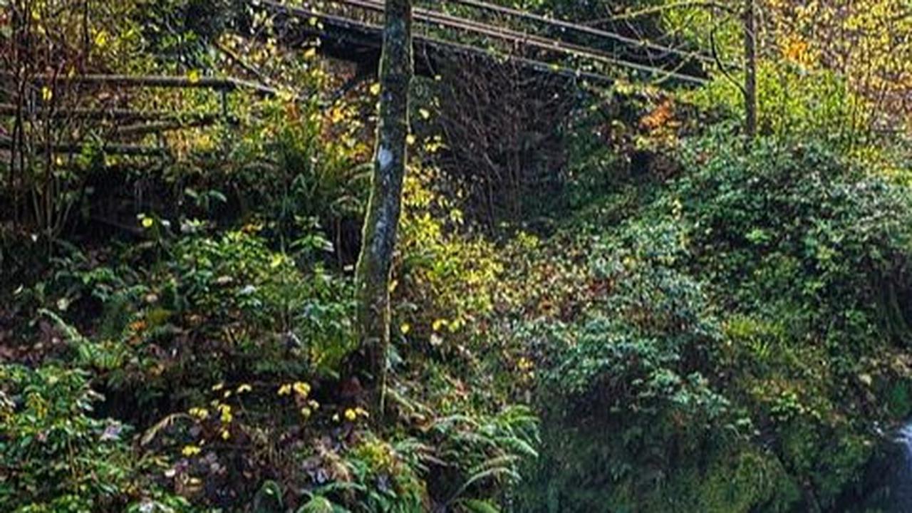 Wisata Alam Jogja Terbaru, Cocok untuk Destinasi Liburan