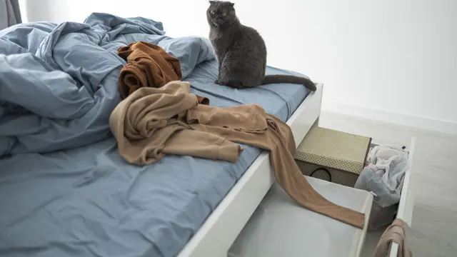 Mengapa Anak Masih Mengompol?