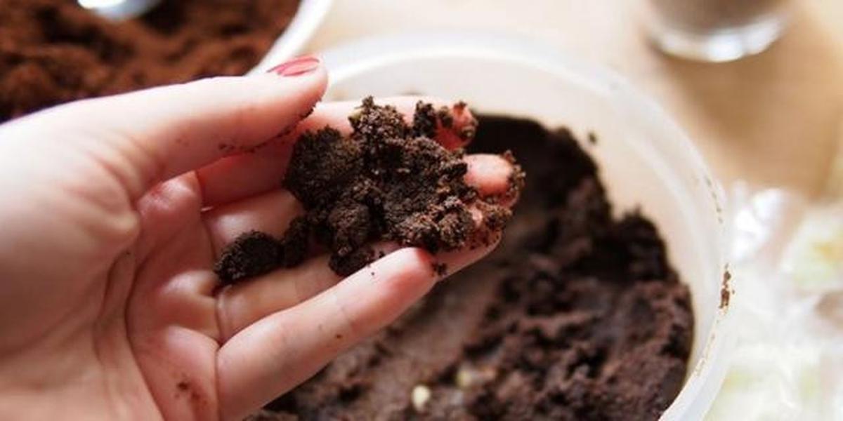 7 Limbah Rumah Tangga yang Cocok jadi Pupuk Alami, Trik Berkebun Murah dengan Hasil Optimal