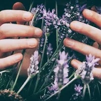 L'Occitane ingin memberikan solusi praktis untuk merawat kelembutan kulit tubuh sambil menenangkan diri selama WFH di masa pandemi virus corona, dengan rangkaian produk terkini. /Photo by Vero Photoart on Unsplash