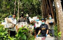 Petugas Gabungan Lepasliarkan 458 Burung Sitaan di Kaki Gunung Rajabasa, Selamatkan Ekosistem