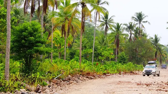 Menyibak Rupaneka Hayati Kalimantan yang Menawan