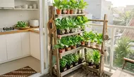 7 Cara Mengubah Sudut Rumah Kosong Jadi Kebun Vertikal Produktif Tanpa Renovasi Besar