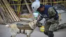 Frida, seekor anjing penyelamat milik Angkatan Laut Meksiko bersama pawangnya Israel Arauz Salinas, mengambil bagian dalam usaha mencari korban gempa yang menghantam Meksiko di sekolah Rebsamen di Mexico City (22/9). (AFP Photo/Omar Torres)