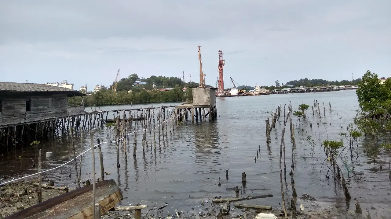 Kerusakan mangrove. (Foto: Liputan6.com/Ajang Nurdin)