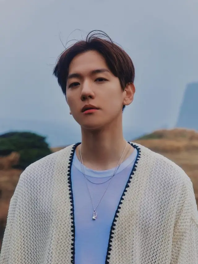 Baekhyun EXO (Sumber: Kprofiles)