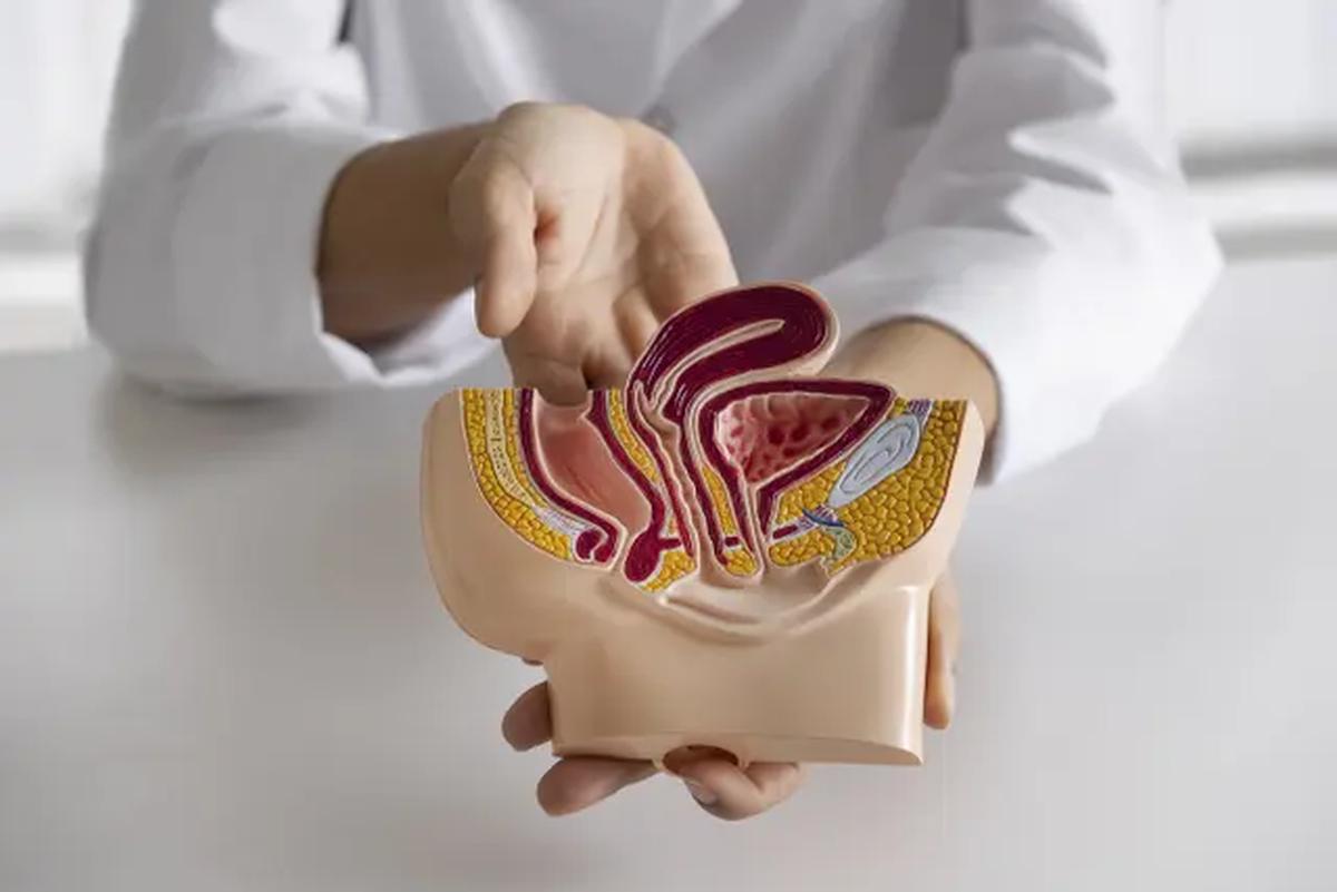 Ternyata duduk terlalu lama di toilet dapat memberikan tekanan berlebih pada area anus dan memicu ambeien. [Dok/freepik.com]