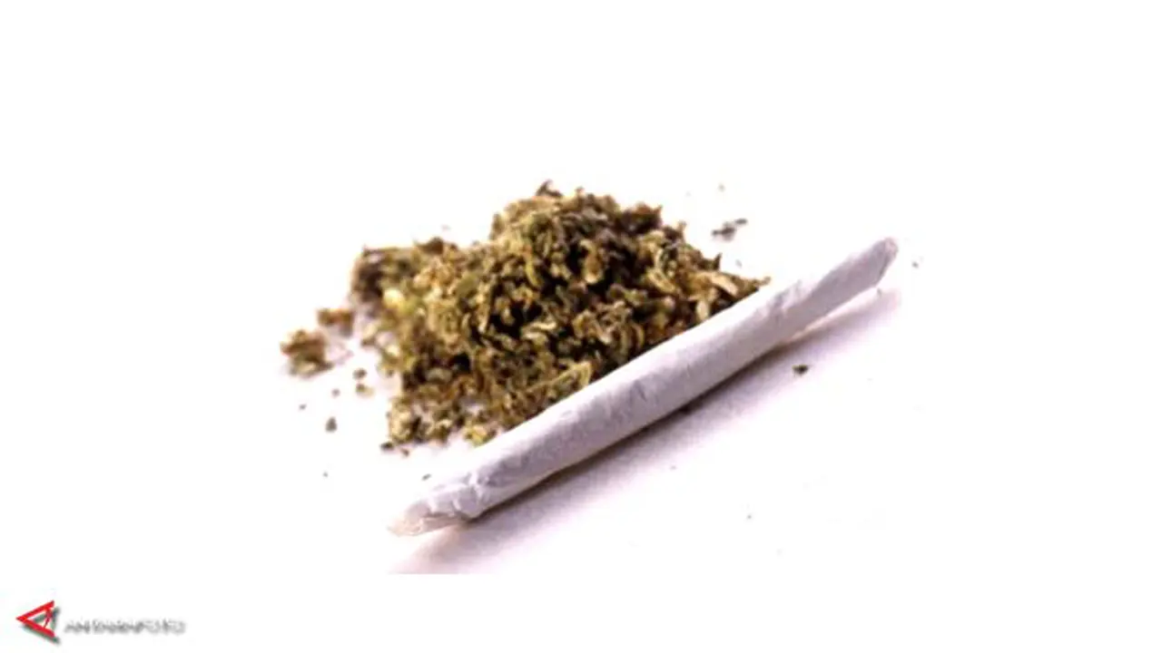 ganja-ahok-130630-b.jpg