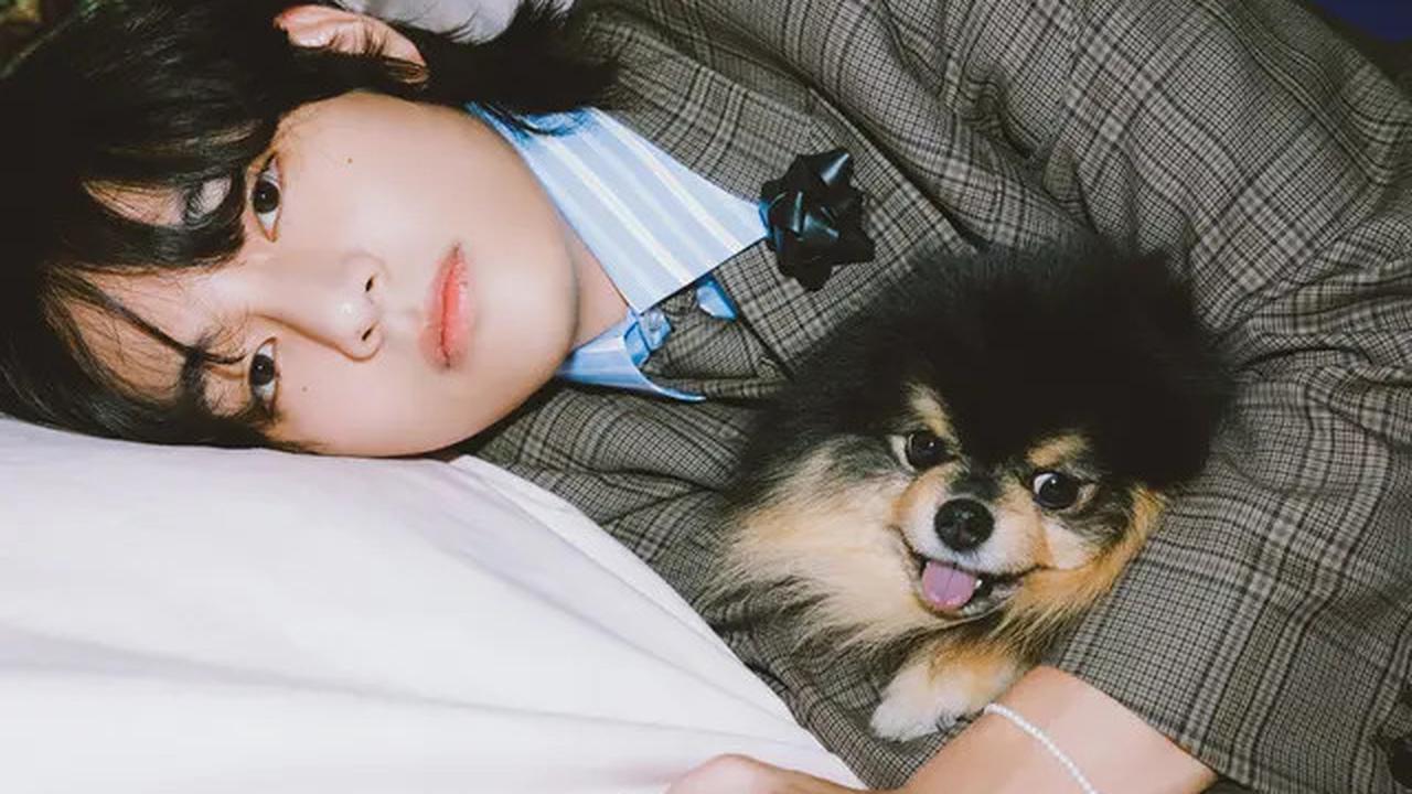 6 Potret Kenangan Yeontan dengan V BTS, Saat Diadopsi hingga Tampil dalam Teaser Lagu di Pengujung Usianya