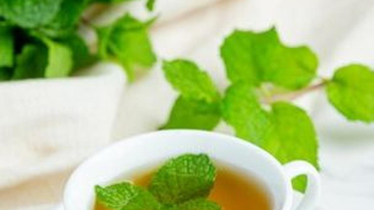 8. Peppermint: Pilihan Segar untuk Perut yang Berat