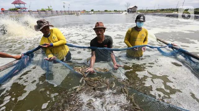 Gerbang Mapan Tingkatkan Ekonomi Warga Pesisir Utara Kabupaten Tangerang