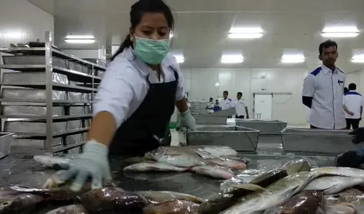 Kepala Badan Penyelenggara Jaminan Produk Halal (BPJPH) Kemenag Muhammad Aqil Irham menyatakan, jika ada restoran pada tahun 2024 belum ada sertifikat halal maka bakal dikenakan sanksi.