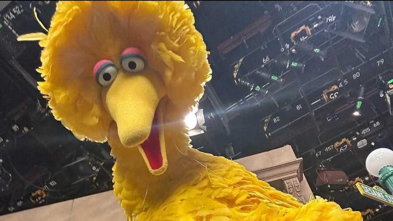Jambul Big Bird Mirip Rambut SZA