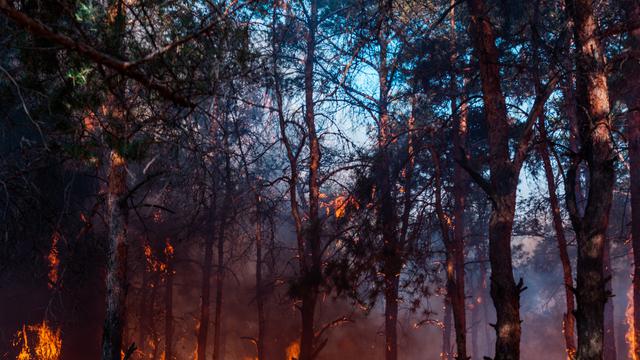 10 Penyebab Pencemaran Tanah, Ini Solusi Pencemaran Tanah dan Cara Mencegahnya