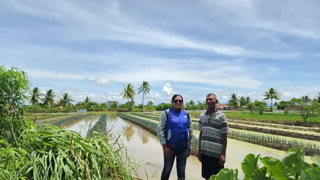 Upaya Berkelanjutan BRI Mendukung Kelompok Usaha Tanah Miring di Merauke