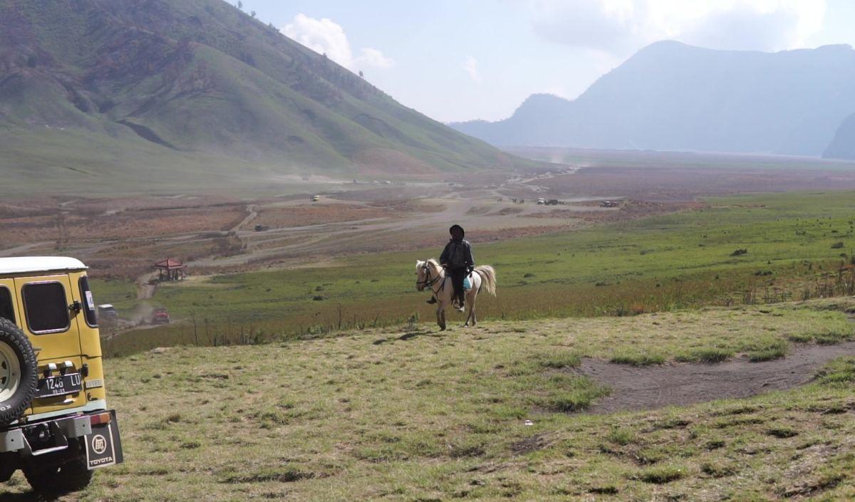 Vegetasi di Savana, kata Septi, perlahan-lahan mulai kembali pulih, walaupun belum terjadi hujan. Kondisinya masih tetap kering, sehingga potensi kebakaran harus diwaspadai.<br>