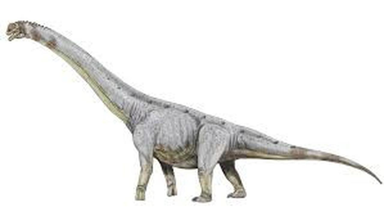 8 Titanosaurus Terbesar: Mengungkap Rahasia Raksasa Zaman Kapur