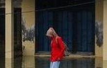 Belajar dari Belanda, Pemerintah Bakal Terapkan Konsep Ini Untuk Atasi Banjir Rob di Kawasan Pesisir