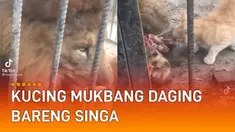 Momen berikut ini justru bikin panik sekaligus kagum warganet.
