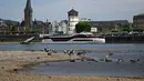 Burung-burung berdiri di pantai panjang dan dasar sungai Rhine yang sebagian mengering di Duesseldorf, Jerman barat (25/7/2022). Sungai Rhine adalah salah satu rute pelayaran terpenting di benua Eropa dan tentu saja merupakan jalur air terpenting Jerman. (AFP/Photo/Ina Fassbender)