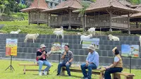 Ngobrol seputar pertanian terkini (Ngopi TV Tani) bersama Pemilik Rajendra Farm, Sabtu (26/3).