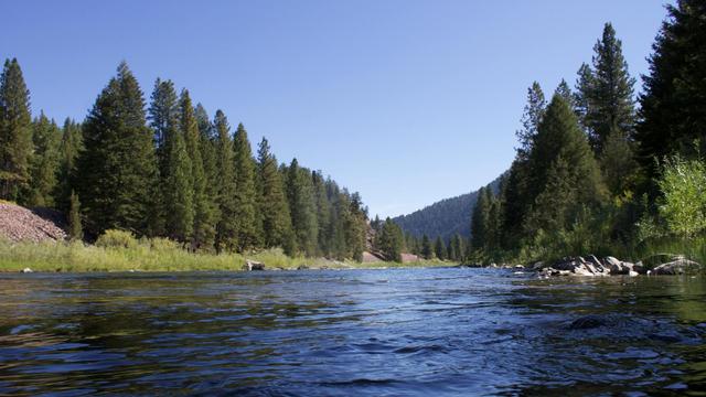 Payette National Forest