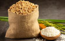Inilah Alternatif Nasi Putih yang Lebih Bergizi dan Lezat Khas Indonesia
