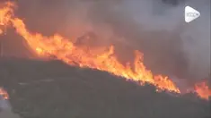 Kebakaran hutan terjadi di Newbury Park, California. Api dengan cepat menghanguskan 40 hektar area hutan.
