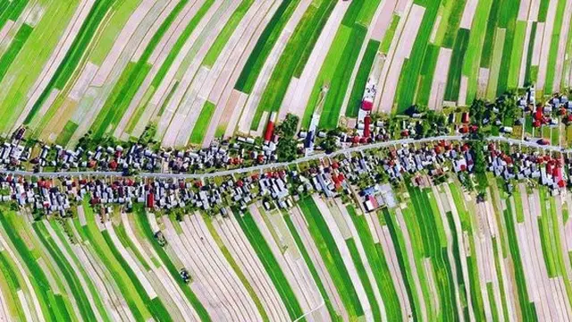 6.000 Orang Tinggal di Jalan yang Sama, Inilah Indahnya Desa di Polandia