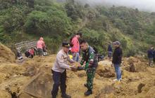 Longsor di Gunung Papandayan, Jalur Pendakian ke Hutan Mati Tertutup Batu dan Tanah