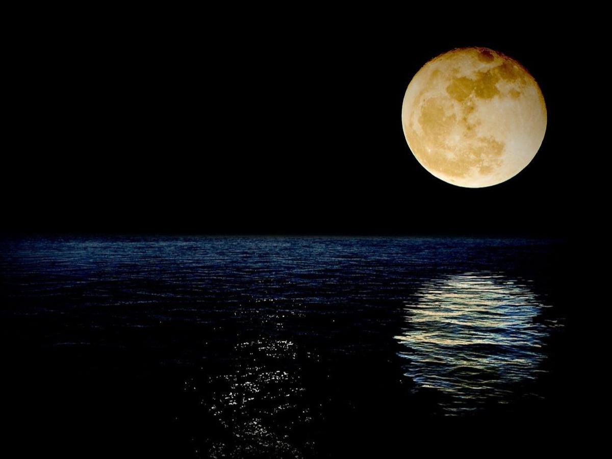 Keutamaan Bulan Syaban