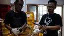 Petugas melakukan pemeriksaan kesehatan ular sebelum proses packing di salah satu perusahaan eksportir di Surabaya, 13 Februari 2019. Ular-ular tersebut diekspor secara legal untuk memenuhi kebutuhan menu masakan di Guangzhou, China. (Juni Kriswanto/AFP)