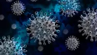 Ilustrasi virus Covid-19 yang merajalela di Indonesia. /pixabay.com Geralt