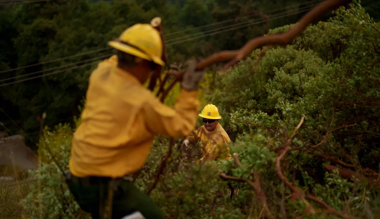 Kebakaran hutan ini juga memaksa ratusan penduduk mengungsi pada hari Minggu (8/9/2024). (AP Photo/Eric Thayer)