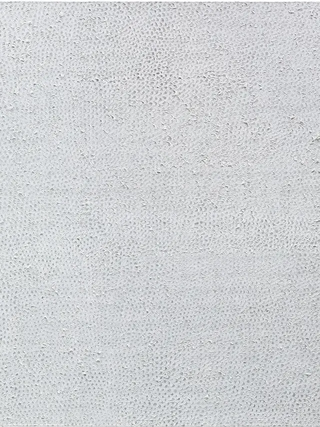 Untitled (Nets), Yayoi Kusama, 1959