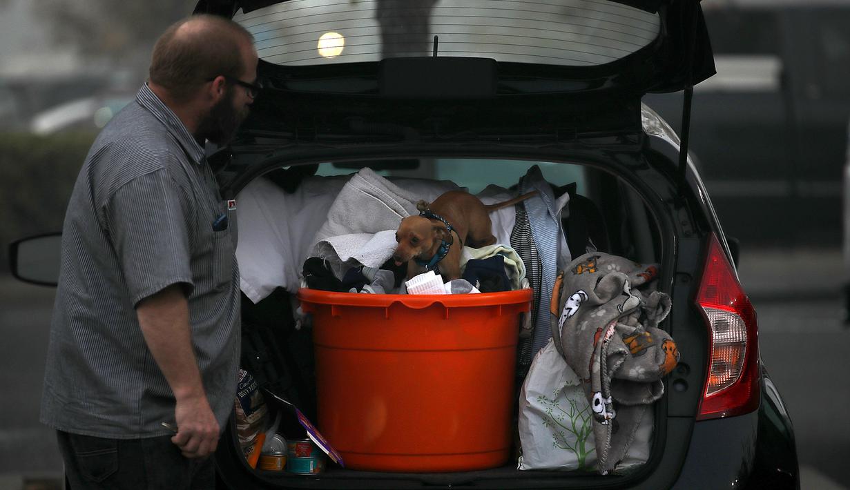 Seekor anjing duduk di tumpukan pakaian di pusat pengungsian di tempat parkir Walmar, Chico, California (16/11). Kebakaran ini merupakan yang terparah dalam sejarah California. (AFP Photo/Justin Sullivan)