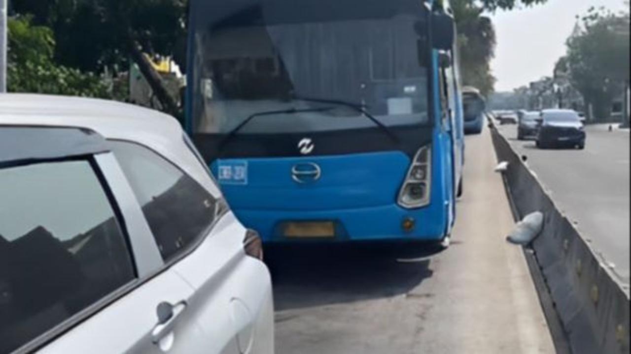 Profil Zoe Levana, Selebgram TikToker Penerobos Jalur TransJakarta hingga Mobil 'Nyangkut