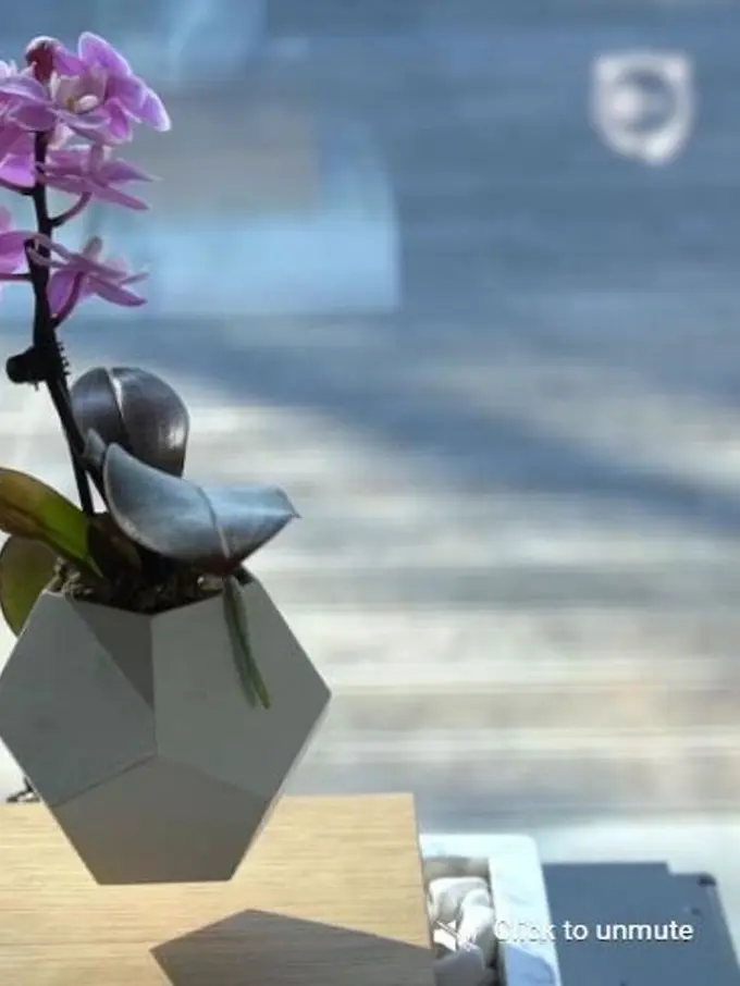 [Bintang] Tanpa Gravitasi, Pot Mungil Ini Melayang Seperti di Luar Angkasa!